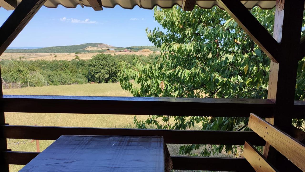 Casa Laur Otel Băile Felix Dış mekan fotoğraf